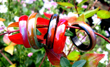 Load image into Gallery viewer, black, red, green agate mood rings in the garden